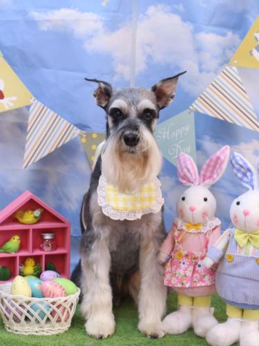 20240316銀次くん